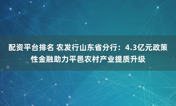配资平台排名 农发行山东省分行：4.3亿元政策性金融助力平邑农村产业提质升级