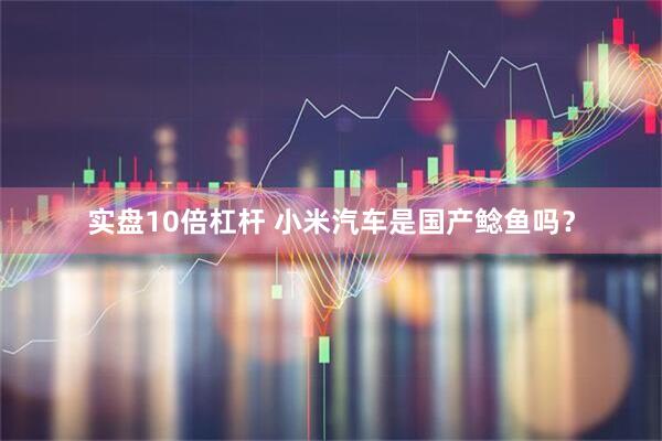 实盘10倍杠杆 小米汽车是国产鲶鱼吗？